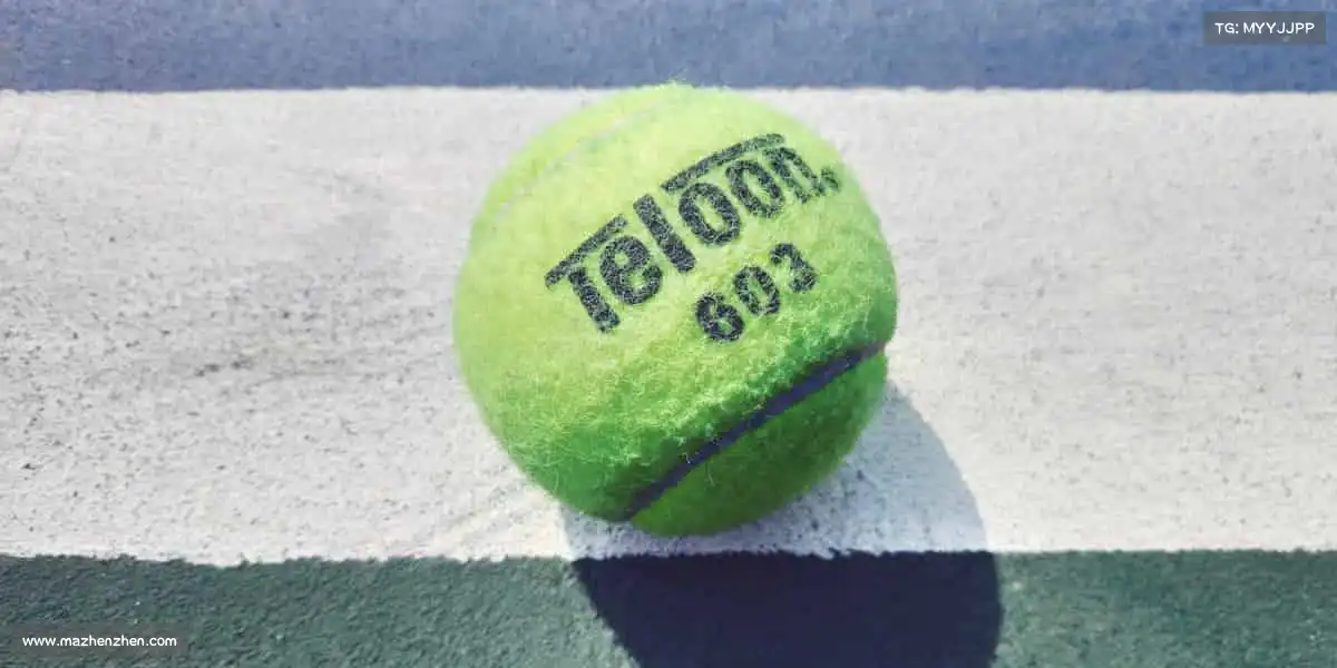 黄金网站9.1免费入口不用登录入口🎞️ 传承影视经典底蕴，突破创作边界书写新篇章